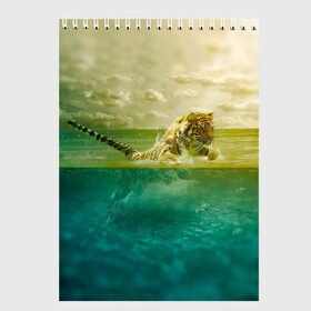 Скетчбук с принтом Тигр жизнь ПИ в Белгороде, 100% бумага
 | 48 листов, плотность листов — 100 г/м2, плотность картонной обложки — 250 г/м2. Листы скреплены сверху удобной пружинной спиралью | амурский | бенгальский тигр | брызги | вода | дикий | животное | звере | зверь | капли | кот | кошка | море | небо | океан | полосатый | тигрица | усатый | уссурийский | хвост | хищник | царь