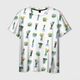 Мужская футболка 3D с принтом Кактусы в Белгороде, 100% полиэфир | прямой крой, круглый вырез горловины, длина до линии бедер | горшок | зеленый | кактус | принт | растение | флора | цветы