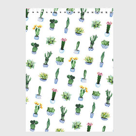 Скетчбук с принтом Кактусы в Белгороде, 100% бумага
 | 48 листов, плотность листов — 100 г/м2, плотность картонной обложки — 250 г/м2. Листы скреплены сверху удобной пружинной спиралью | Тематика изображения на принте: горшок | зеленый | кактус | принт | растение | флора | цветы
