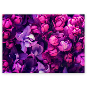 Поздравительная открытка с принтом Тюльпановый сад в Белгороде, 100% бумага | плотность бумаги 280 г/м2, матовая, на обратной стороне линовка и место для марки
 | Тематика изображения на принте: flower | краски | природа | розы | тюльпаны | цветы