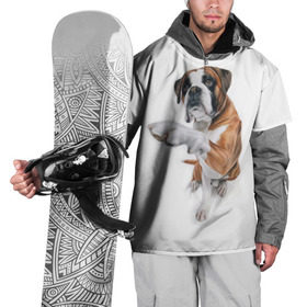 Накидка на куртку 3D с принтом Боксер в Белгороде, 100% полиэстер |  | Тематика изображения на принте: боксер | друг | дружба | животное | пес | собака