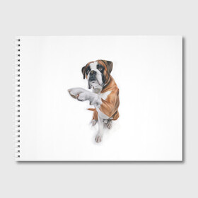 Альбом для рисования с принтом Боксер в Белгороде, 100% бумага
 | матовая бумага, плотность 200 мг. | боксер | друг | дружба | животное | пес | собака