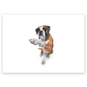 Поздравительная открытка с принтом Боксер в Белгороде, 100% бумага | плотность бумаги 280 г/м2, матовая, на обратной стороне линовка и место для марки
 | Тематика изображения на принте: боксер | друг | дружба | животное | пес | собака