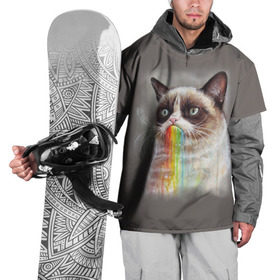 Накидка на куртку 3D с принтом Grumpy Cat в Белгороде, 100% полиэстер |  | animal | cat | grumpy cat | животное | кот | котенок | кошка | радуга