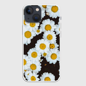 Чехол для iPhone 13 mini с принтом АРОМАШКИ | РОМАШКИ | 8 МАРТА, в Белгороде,  |  | Тематика изображения на принте: белый | желтый | красивые | красота | мода | модные | природа | растения | ромашка | ромашки | текстура | тренды | цветы