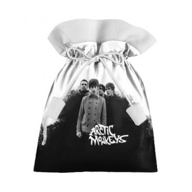 Подарочный 3D мешок с принтом Группа Arctic Monkeys в Белгороде, 100% полиэстер | Размер: 29*39 см | arctic monkeys обезьянка