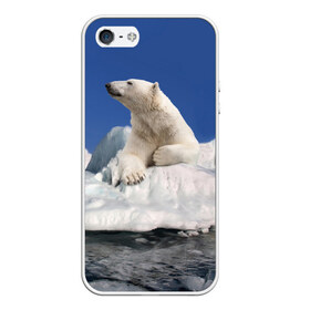 Чехол для iPhone 5/5S матовый с принтом Арктика в Белгороде, Силикон | Область печати: задняя сторона чехла, без боковых панелей | animals | bear | ice | nature | polar bear | power | travel | белый медведь | животные | лёд | медведь | природа | путешествия | сила | снег