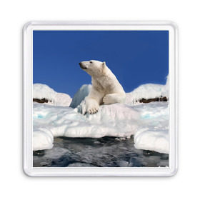 Магнит 55*55 с принтом Арктика в Белгороде, Пластик | Размер: 65*65 мм; Размер печати: 55*55 мм | animals | bear | ice | nature | polar bear | power | travel | белый медведь | животные | лёд | медведь | природа | путешествия | сила | снег