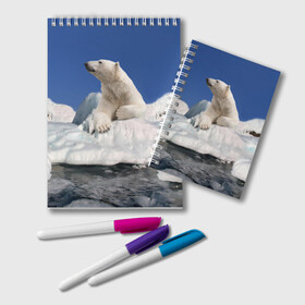 Блокнот с принтом Арктика в Белгороде, 100% бумага | 48 листов, плотность листов — 60 г/м2, плотность картонной обложки — 250 г/м2. Листы скреплены удобной пружинной спиралью. Цвет линий — светло-серый
 | Тематика изображения на принте: animals | bear | ice | nature | polar bear | power | travel | белый медведь | животные | лёд | медведь | природа | путешествия | сила | снег