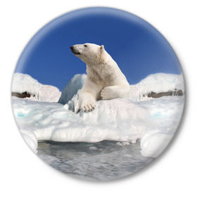 Значок с принтом Арктика в Белгороде,  металл | круглая форма, металлическая застежка в виде булавки | animals | bear | ice | nature | polar bear | power | travel | белый медведь | животные | лёд | медведь | природа | путешествия | сила | снег