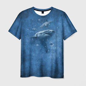 Мужская футболка 3D с принтом Shark в Белгороде, 100% полиэфир | прямой крой, круглый вырез горловины, длина до линии бедер | fish | ocean | акула | вода | животные | море | океан | рыба | челюсти