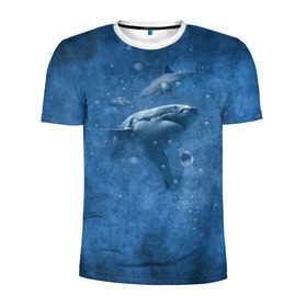 Мужская футболка 3D спортивная с принтом Shark в Белгороде, 100% полиэстер с улучшенными характеристиками | приталенный силуэт, круглая горловина, широкие плечи, сужается к линии бедра | Тематика изображения на принте: fish | ocean | акула | вода | животные | море | океан | рыба | челюсти