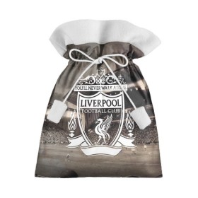 Подарочный 3D мешок с принтом Liverpool в Белгороде, 100% полиэстер | Размер: 29*39 см | liverpool