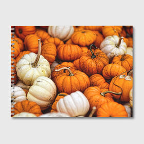 Альбом для рисования с принтом тыквы в Белгороде, 100% бумага
 | матовая бумага, плотность 200 мг. | halloween | дача | овощи | октябрь | оранжевый | осень | сентябрь | тыква | хеллуин