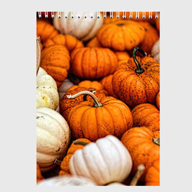 Скетчбук с принтом тыквы в Белгороде, 100% бумага
 | 48 листов, плотность листов — 100 г/м2, плотность картонной обложки — 250 г/м2. Листы скреплены сверху удобной пружинной спиралью | halloween | дача | овощи | октябрь | оранжевый | осень | сентябрь | тыква | хеллуин