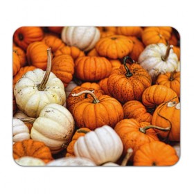 Коврик прямоугольный с принтом тыквы в Белгороде, натуральный каучук | размер 230 х 185 мм; запечатка лицевой стороны | halloween | дача | овощи | октябрь | оранжевый | осень | сентябрь | тыква | хеллуин