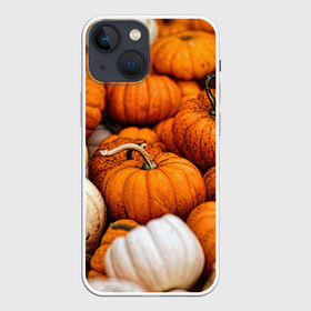 Чехол для iPhone 13 mini с принтом тыквы в Белгороде,  |  | halloween | дача | овощи | октябрь | оранжевый | осень | сентябрь | тыква | хеллуин