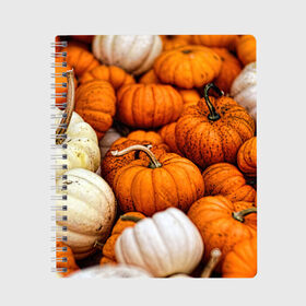 Тетрадь с принтом тыквы в Белгороде, 100% бумага | 48 листов, плотность листов — 60 г/м2, плотность картонной обложки — 250 г/м2. Листы скреплены сбоку удобной пружинной спиралью. Уголки страниц и обложки скругленные. Цвет линий — светло-серый
 | halloween | дача | овощи | октябрь | оранжевый | осень | сентябрь | тыква | хеллуин