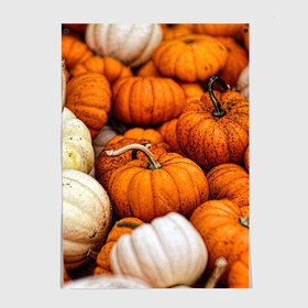 Постер с принтом тыквы в Белгороде, 100% бумага
 | бумага, плотность 150 мг. Матовая, но за счет высокого коэффициента гладкости имеет небольшой блеск и дает на свету блики, но в отличии от глянцевой бумаги не покрыта лаком | halloween | дача | овощи | октябрь | оранжевый | осень | сентябрь | тыква | хеллуин