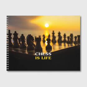 Альбом для рисования с принтом Шахматы - это жизнь в Белгороде, 100% бумага
 | матовая бумага, плотность 200 мг. | Тематика изображения на принте: chess | game | sport | гроссмейстер | закат | игра | интеллект | солнце | спорт | фигура | шахматист | шахматы