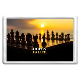 Магнит 45*70 с принтом Шахматы - это жизнь в Белгороде, Пластик | Размер: 78*52 мм; Размер печати: 70*45 | chess | game | sport | гроссмейстер | закат | игра | интеллект | солнце | спорт | фигура | шахматист | шахматы