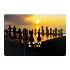Магнитный плакат 3Х2 с принтом Шахматы - это жизнь в Белгороде, Полимерный материал с магнитным слоем | 6 деталей размером 9*9 см | Тематика изображения на принте: chess | game | sport | гроссмейстер | закат | игра | интеллект | солнце | спорт | фигура | шахматист | шахматы