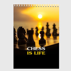 Скетчбук с принтом Шахматы - это жизнь в Белгороде, 100% бумага
 | 48 листов, плотность листов — 100 г/м2, плотность картонной обложки — 250 г/м2. Листы скреплены сверху удобной пружинной спиралью | Тематика изображения на принте: chess | game | sport | гроссмейстер | закат | игра | интеллект | солнце | спорт | фигура | шахматист | шахматы