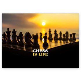 Поздравительная открытка с принтом Шахматы - это жизнь в Белгороде, 100% бумага | плотность бумаги 280 г/м2, матовая, на обратной стороне линовка и место для марки
 | chess | game | sport | гроссмейстер | закат | игра | интеллект | солнце | спорт | фигура | шахматист | шахматы