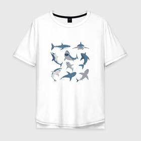Мужская футболка хлопок Oversize с принтом Акулы в Белгороде, 100% хлопок | свободный крой, круглый ворот, “спинка” длиннее передней части | акула | зубы | океан | челюсть