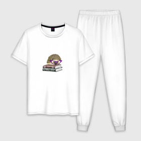 Мужская пижама хлопок с принтом Ёжик в Белгороде, 100% хлопок | брюки и футболка прямого кроя, без карманов, на брюках мягкая резинка на поясе и по низу штанин
 | Тематика изображения на принте:  ежик