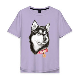Мужская футболка хлопок Oversize с принтом Маламут в Белгороде, 100% хлопок | свободный крой, круглый ворот, “спинка” длиннее передней части | аляска | карандаш | маламут | рисунок | собака | хаски