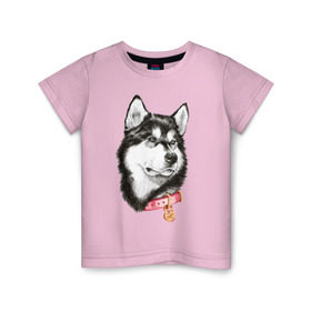 Детская футболка хлопок с принтом Маламут в Белгороде, 100% хлопок | круглый вырез горловины, полуприлегающий силуэт, длина до линии бедер | аляска | карандаш | маламут | рисунок | собака | хаски
