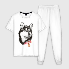 Мужская пижама хлопок с принтом Маламут в Белгороде, 100% хлопок | брюки и футболка прямого кроя, без карманов, на брюках мягкая резинка на поясе и по низу штанин
 | аляска | карандаш | маламут | рисунок | собака | хаски