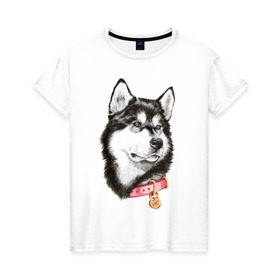 Женская футболка хлопок с принтом Маламут в Белгороде, 100% хлопок | прямой крой, круглый вырез горловины, длина до линии бедер, слегка спущенное плечо | аляска | карандаш | маламут | рисунок | собака | хаски