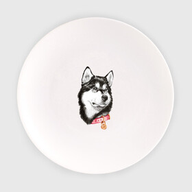Тарелка с принтом Маламут в Белгороде, фарфор | диаметр - 210 мм
диаметр для нанесения принта - 120 мм | аляска | карандаш | маламут | рисунок | собака | хаски