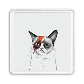 Магнит 55*55 с принтом Grumpy cat (David Bowie) в Белгороде, Пластик | Размер: 65*65 мм; Размер печати: 55*55 мм | бодиарт | грумпи | дэвид боуи | злой кот | интернет | котей | котик | кошка | мем | мемас | мемчик. | молния на лице | рисунок на лице | сердитый