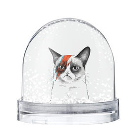 Снежный шар с принтом Grumpy cat (David Bowie) в Белгороде, Пластик | Изображение внутри шара печатается на глянцевой фотобумаге с двух сторон | бодиарт | грумпи | дэвид боуи | злой кот | интернет | котей | котик | кошка | мем | мемас | мемчик. | молния на лице | рисунок на лице | сердитый