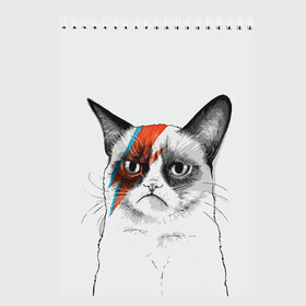 Скетчбук с принтом Grumpy cat (David Bowie) в Белгороде, 100% бумага
 | 48 листов, плотность листов — 100 г/м2, плотность картонной обложки — 250 г/м2. Листы скреплены сверху удобной пружинной спиралью | Тематика изображения на принте: бодиарт | грумпи | дэвид боуи | злой кот | интернет | котей | котик | кошка | мем | мемас | мемчик. | молния на лице | рисунок на лице | сердитый