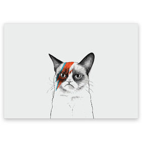 Поздравительная открытка с принтом Grumpy cat (David Bowie) в Белгороде, 100% бумага | плотность бумаги 280 г/м2, матовая, на обратной стороне линовка и место для марки
 | Тематика изображения на принте: бодиарт | грумпи | дэвид боуи | злой кот | интернет | котей | котик | кошка | мем | мемас | мемчик. | молния на лице | рисунок на лице | сердитый