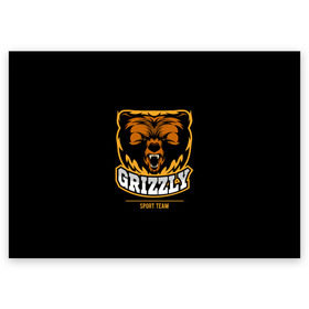 Поздравительная открытка с принтом GTIZZLY(sport team) в Белгороде, 100% бумага | плотность бумаги 280 г/м2, матовая, на обратной стороне линовка и место для марки
 | bear | grizzly | гризли | медведь | ярость