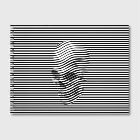 Альбом для рисования с принтом Череп в Белгороде, 100% бумага
 | матовая бумага, плотность 200 мг. | art | optical | skull | stripes | vest | искусство | оптическое | полосы | тельняшка | череп