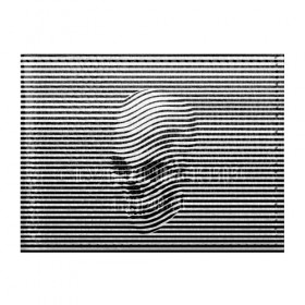 Обложка для студенческого билета с принтом Череп в Белгороде, натуральная кожа | Размер: 11*8 см; Печать на всей внешней стороне | art | optical | skull | stripes | vest | искусство | оптическое | полосы | тельняшка | череп