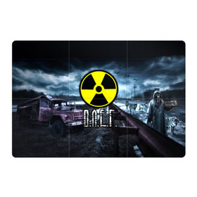 Магнитный плакат 3Х2 с принтом S.T.A.L.K.E.R. - О.Л.Е.Г. в Белгороде, Полимерный материал с магнитным слоем | 6 деталей размером 9*9 см | stalker | игра | имя | олег | припять | радиация | сталкер | чернобыль