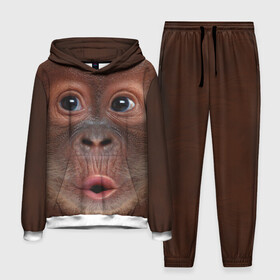 Мужской костюм 3D (с толстовкой) с принтом Орангутанг BigFace в Белгороде,  |  | bigface | глаза | голова | животные | лицо | обезьяна | орангутанг | рот