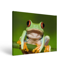 Холст прямоугольный с принтом Лягушка в Белгороде, 100% ПВХ |  | Тематика изображения на принте: frog | жаба | животные | зеленый | ква | лягуха | лягушка | лягушонок