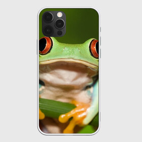 Чехол для iPhone 12 Pro Max с принтом Лягушка в Белгороде, Силикон |  | Тематика изображения на принте: frog | жаба | животные | зеленый | ква | лягуха | лягушка | лягушонок