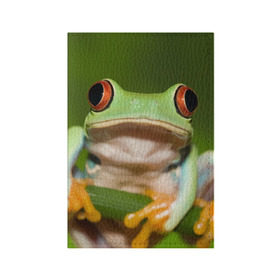 Обложка для паспорта матовая кожа с принтом Лягушка в Белгороде, натуральная матовая кожа | размер 19,3 х 13,7 см; прозрачные пластиковые крепления | Тематика изображения на принте: frog | жаба | животные | зеленый | ква | лягуха | лягушка | лягушонок
