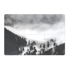 Магнитный плакат 3Х2 с принтом Туманный лес в Белгороде, Полимерный материал с магнитным слоем | 6 деталей размером 9*9 см | бор | деревья | дым | елки | лес | природа | туман | чб | черно белое