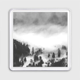 Магнит 55*55 с принтом Туманный лес в Белгороде, Пластик | Размер: 65*65 мм; Размер печати: 55*55 мм | бор | деревья | дым | елки | лес | природа | туман | чб | черно белое