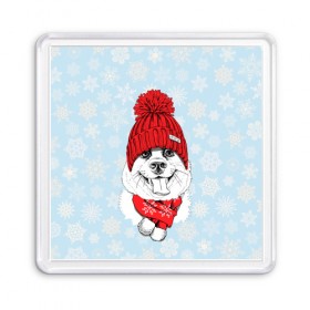 Магнит 55*55 с принтом Собачка в шапочке в Белгороде, Пластик | Размер: 65*65 мм; Размер печати: 55*55 мм | зима | новый год | подарок | рождество | собака